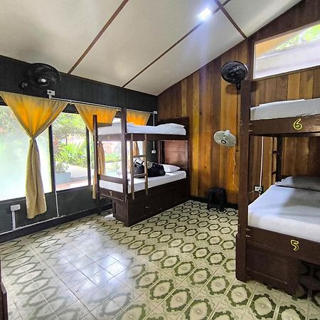 Hostel Casa De Las Palmas Tours 莱蒂西亚 外观 照片