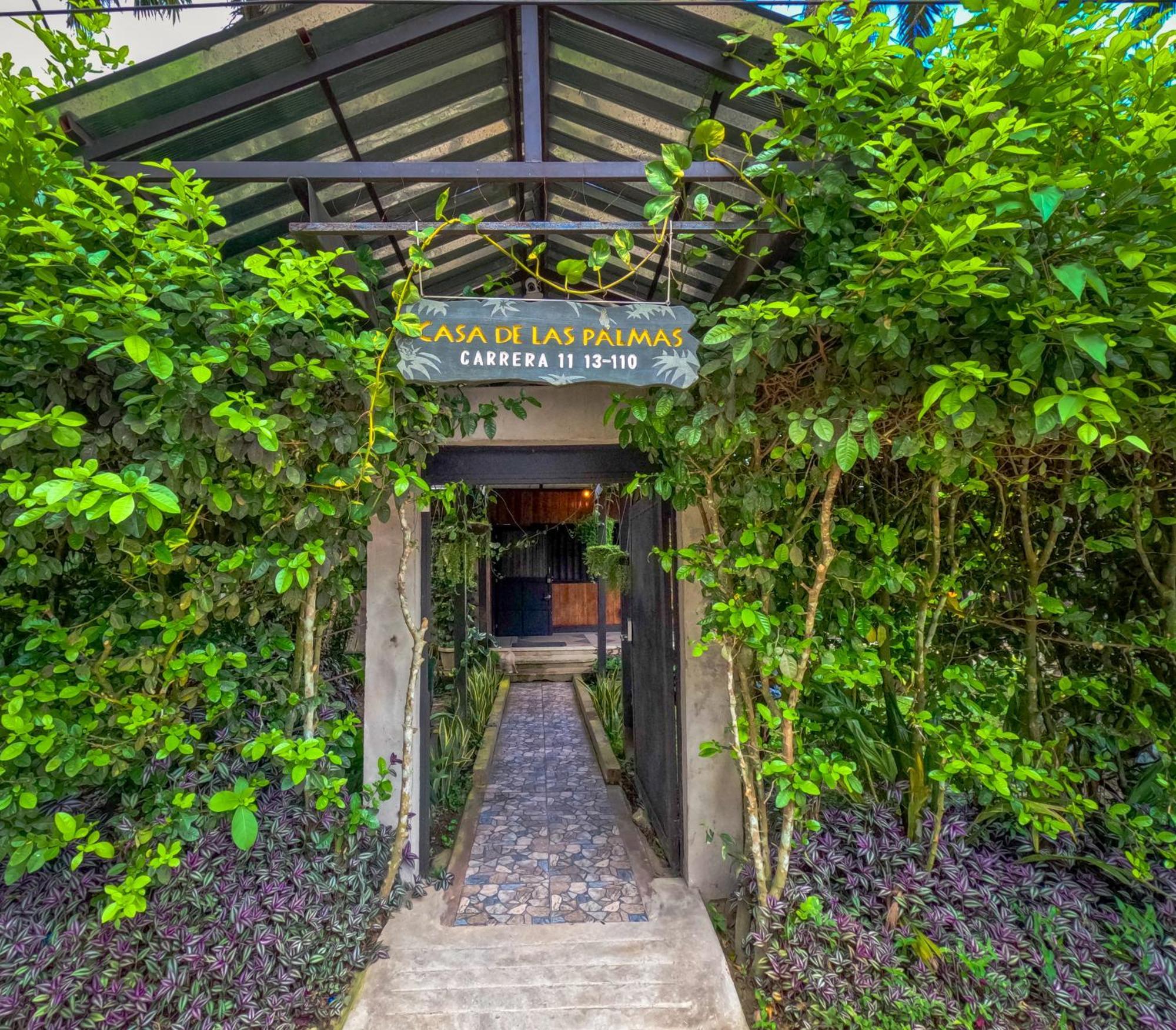Hostel Casa De Las Palmas Tours 莱蒂西亚 外观 照片