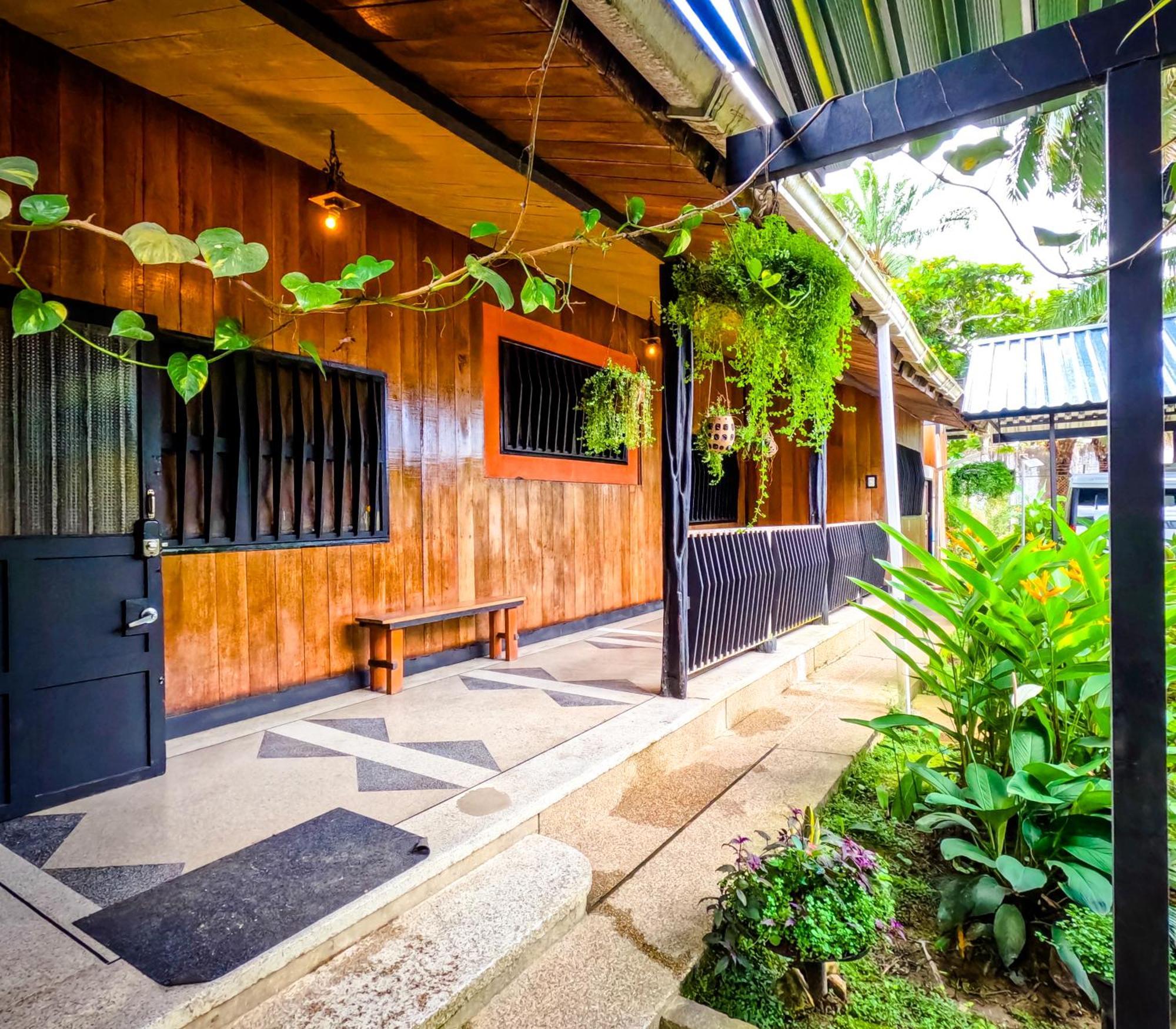 Hostel Casa De Las Palmas Tours 莱蒂西亚 外观 照片
