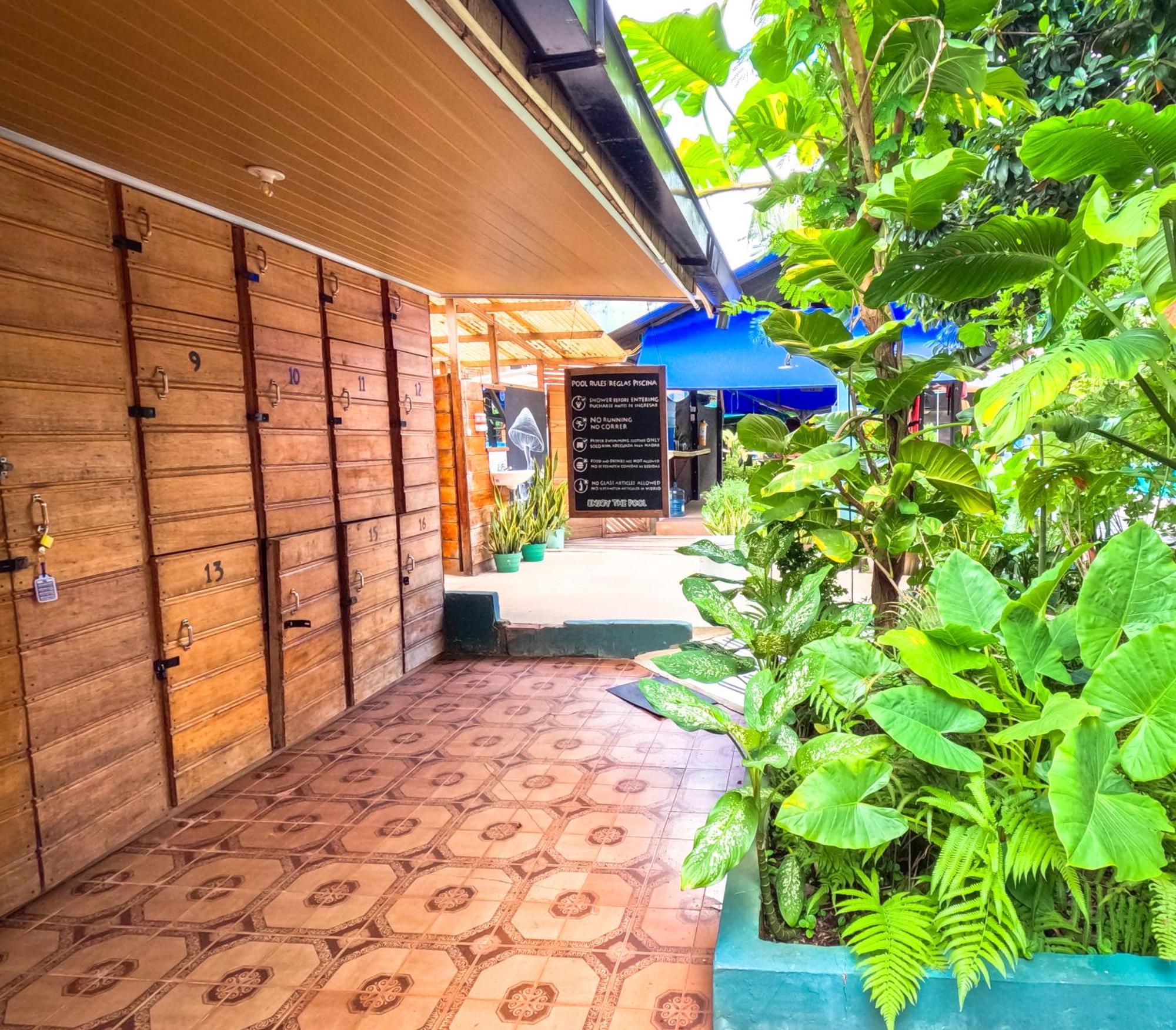 Hostel Casa De Las Palmas Tours 莱蒂西亚 外观 照片