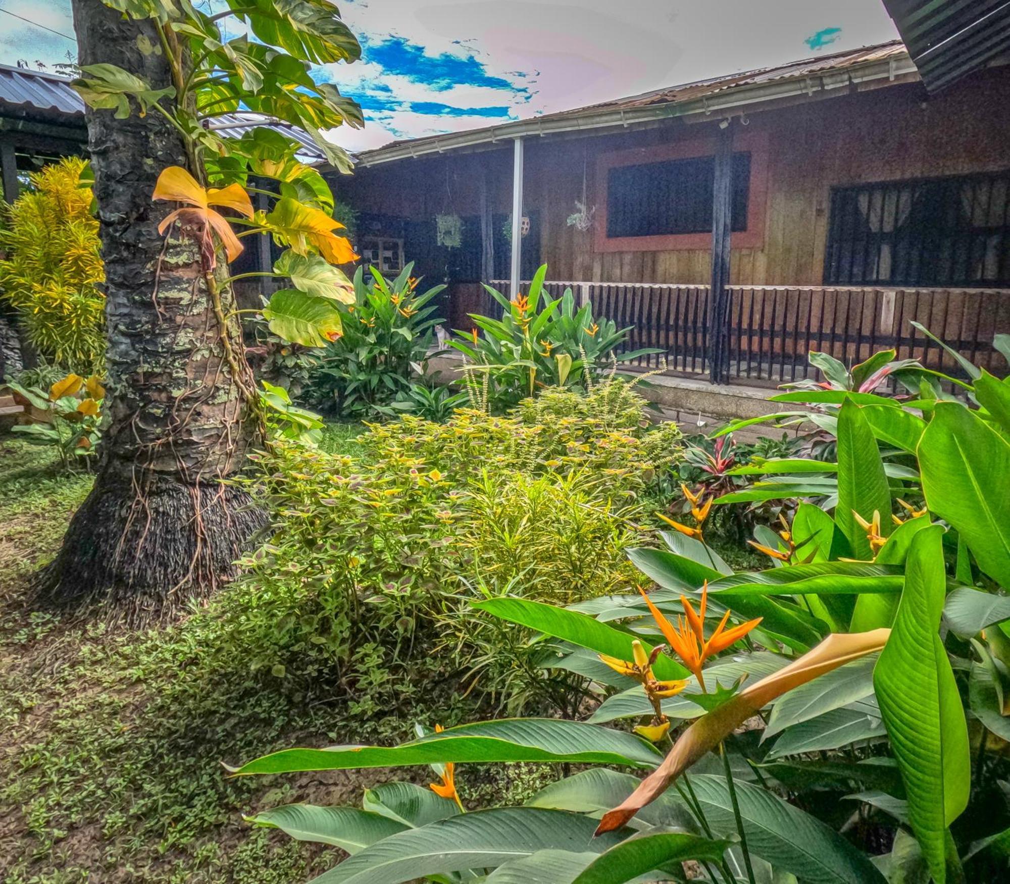 Hostel Casa De Las Palmas Tours 莱蒂西亚 外观 照片