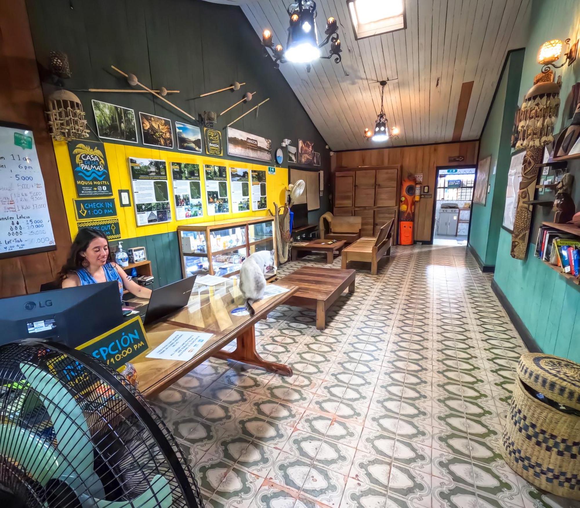 Hostel Casa De Las Palmas Tours 莱蒂西亚 外观 照片