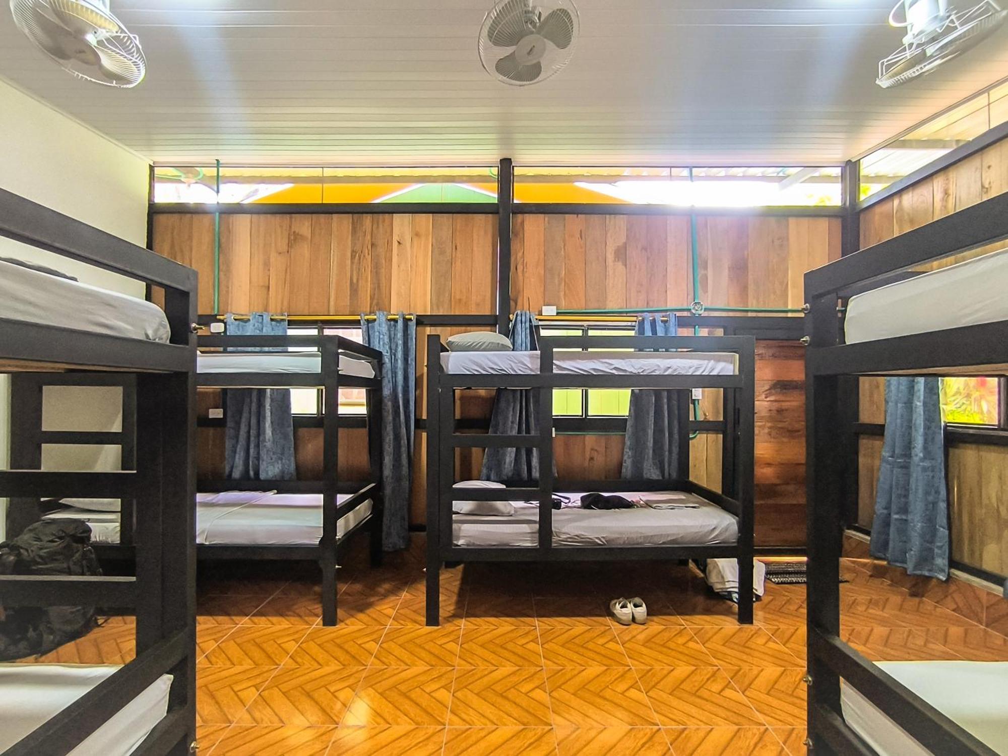 Hostel Casa De Las Palmas Tours 莱蒂西亚 外观 照片