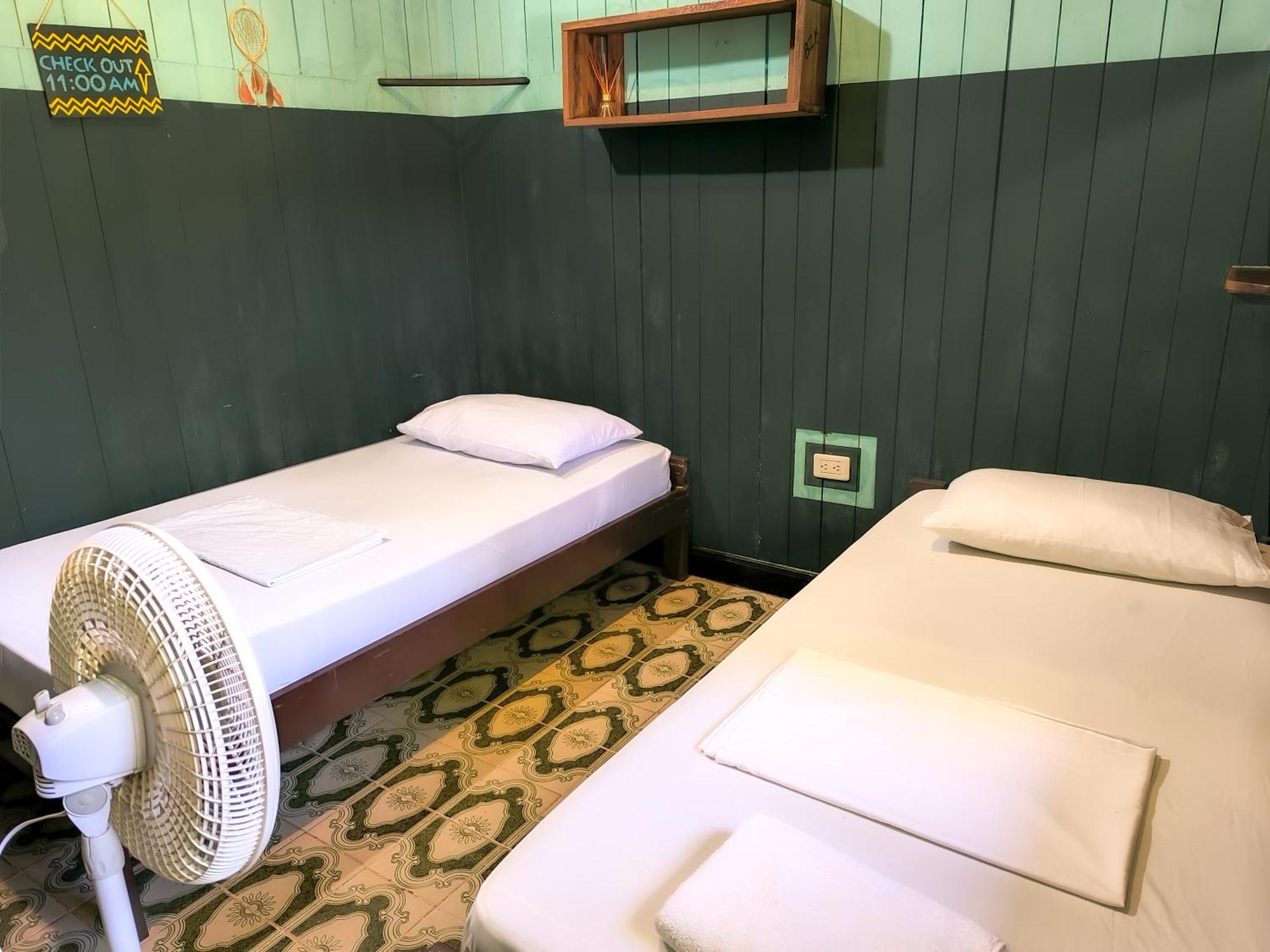 Hostel Casa De Las Palmas Tours 莱蒂西亚 外观 照片