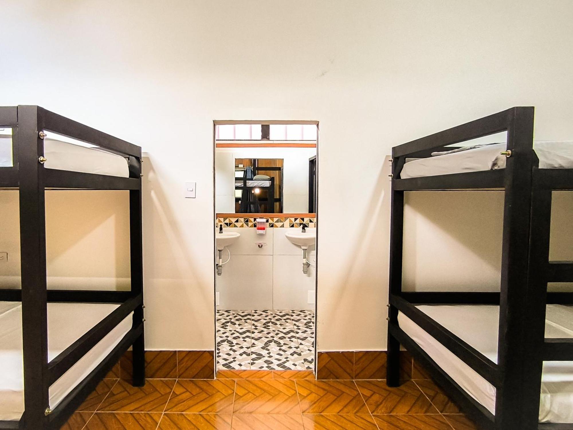 Hostel Casa De Las Palmas Tours 莱蒂西亚 外观 照片