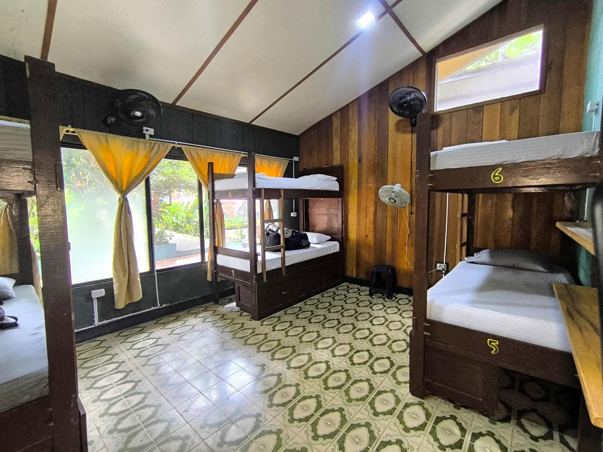 Hostel Casa De Las Palmas Tours 莱蒂西亚 外观 照片